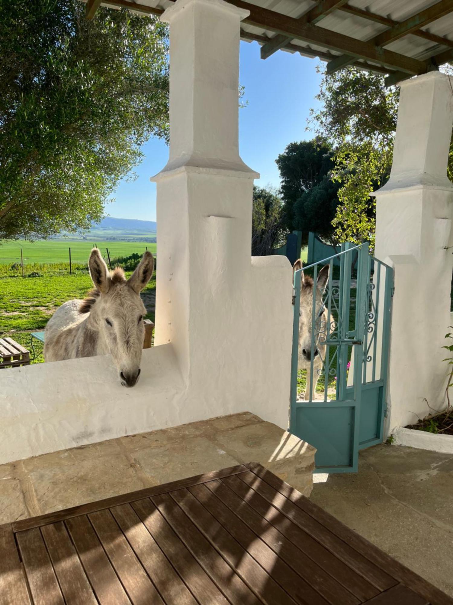 Tahivilla La Casa De Los Geranios מראה חיצוני תמונה