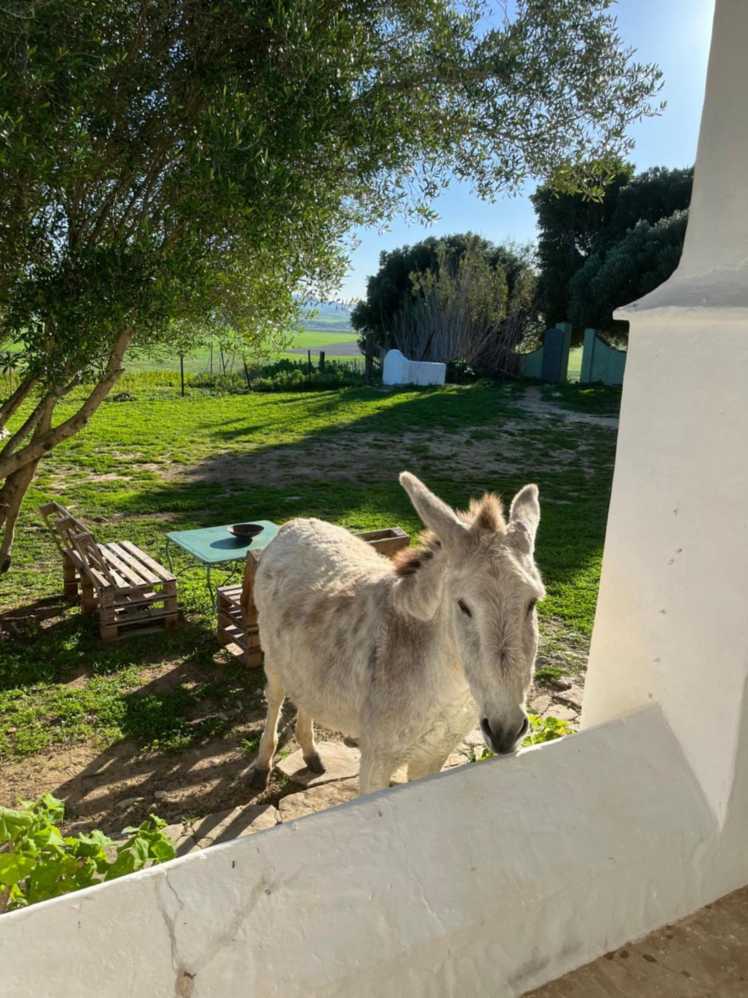 Tahivilla La Casa De Los Geranios מראה חיצוני תמונה